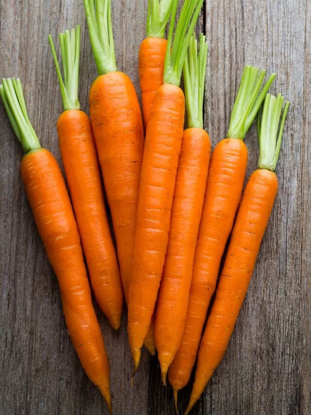 Carrot